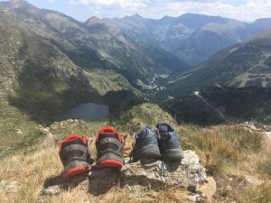 IMG_2961_resultado